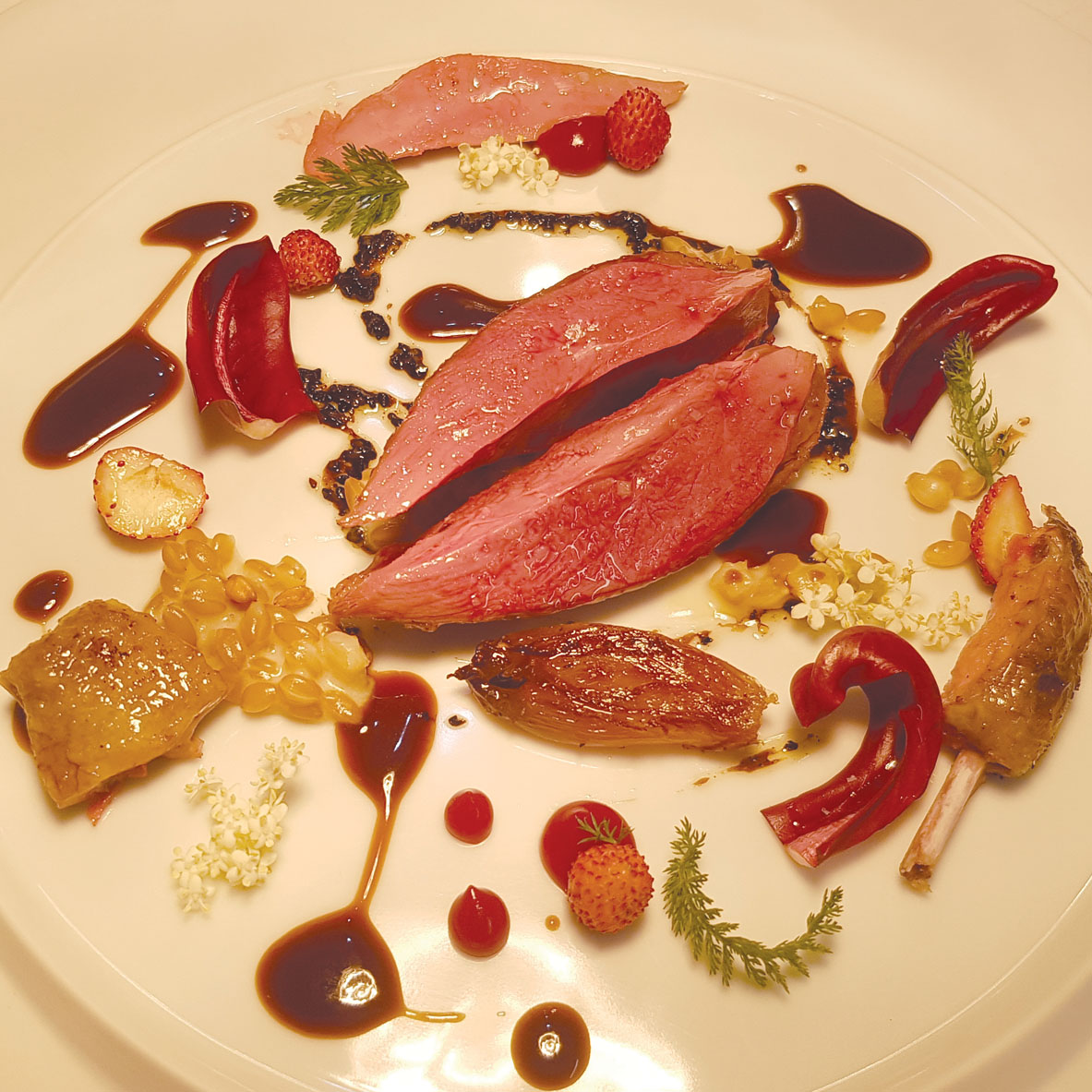 fotobasic-1183x1183b