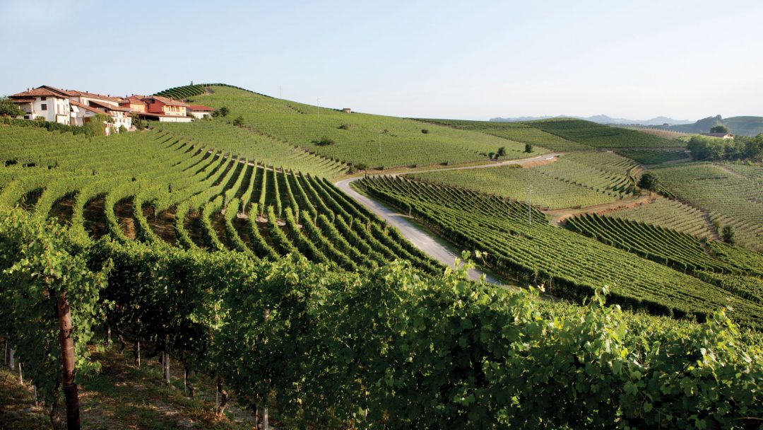 Parallax-1920-Recoveredb