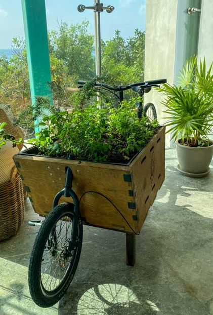 Vivir el cielo en la tierra