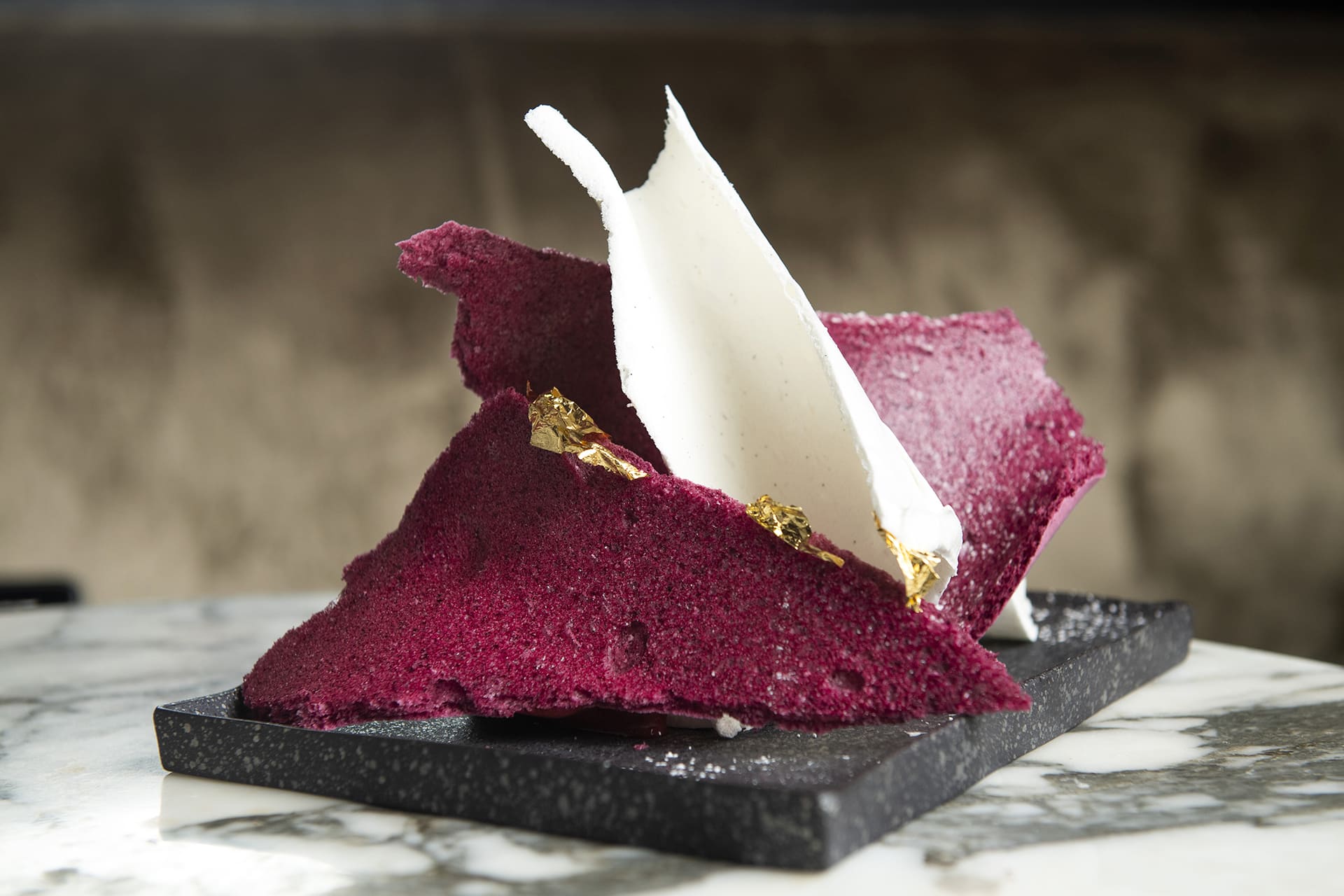 El Grand Salon – vacherin1_mod