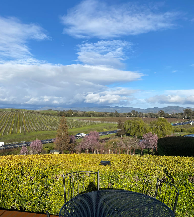 El château francés de Napa