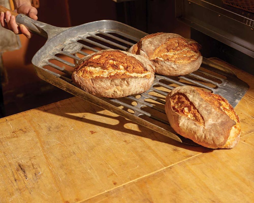 Bread©Melissa Carnemolla