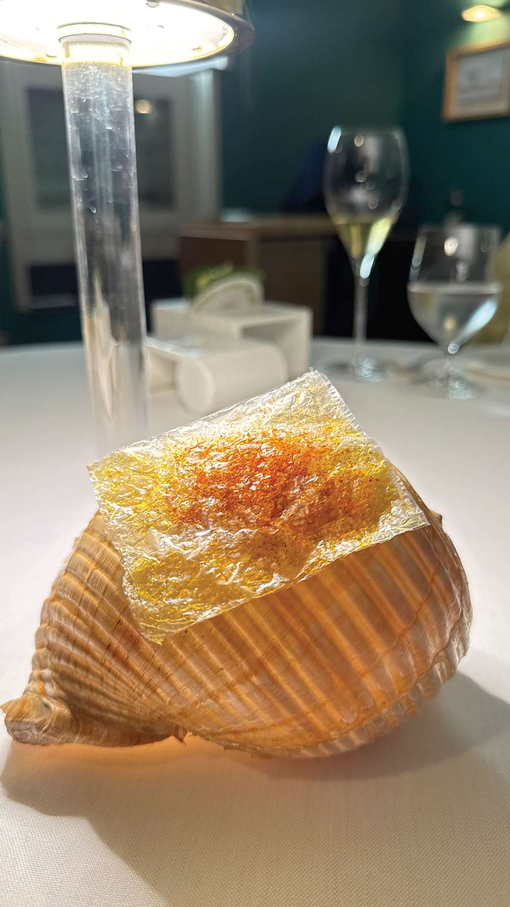 mini_IMG_5249 2_CMYK