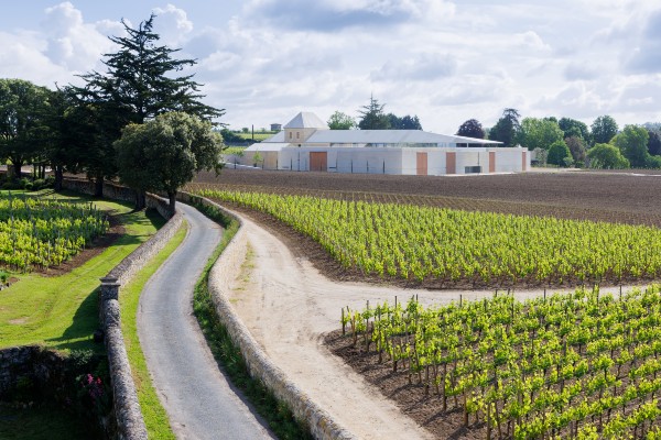 476_CP_2305_IB_1569_small-scaled