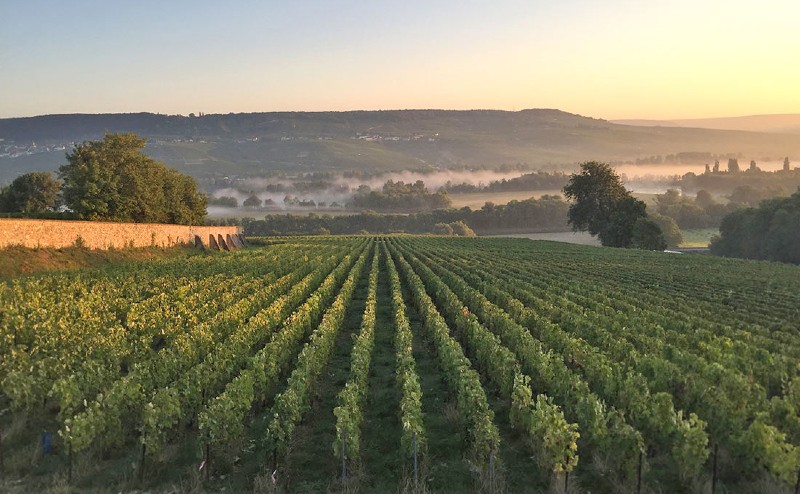 View from la Terrasse des Abbayes