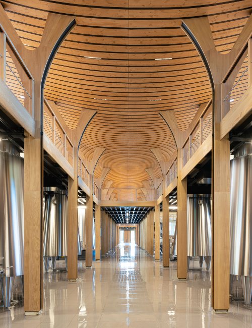 Cuvier inox©bricebraastad