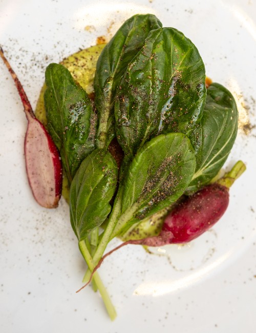 cordero